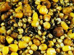 Seminte Select Baits Particle Mix