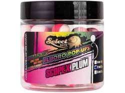 Momeli de carlig Select Baits Two-Tone Scopex-Plum Pop-ups
