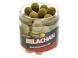 Boilies de carlig Select Baits Hard Hookbaits Belachan