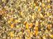 Seminte Select Baits Mega Particle Mix 1kg