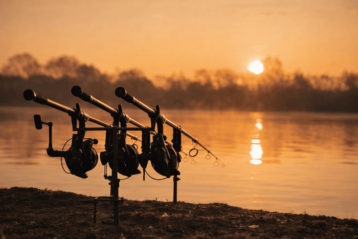 Carp Fishing