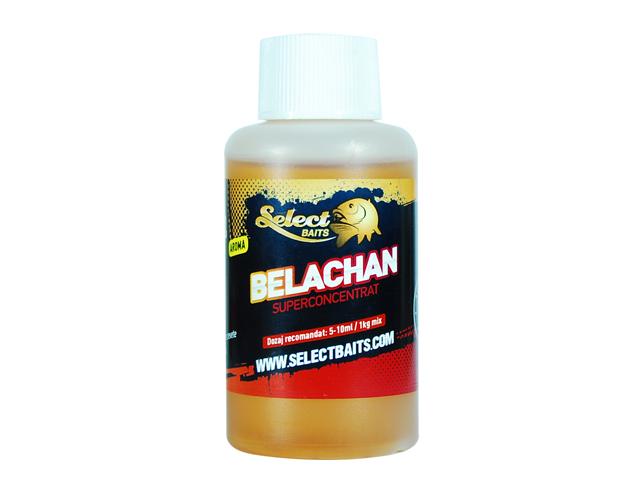 Belachan