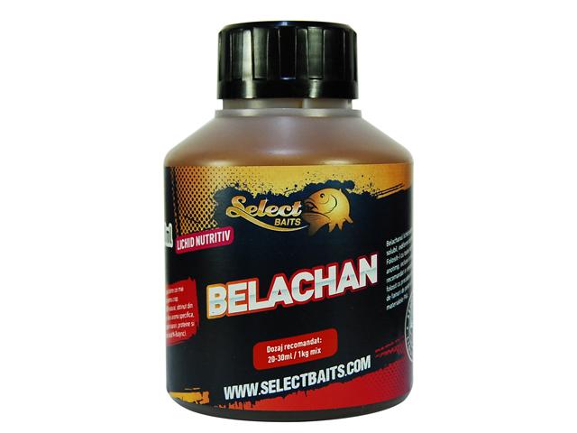 Belachan