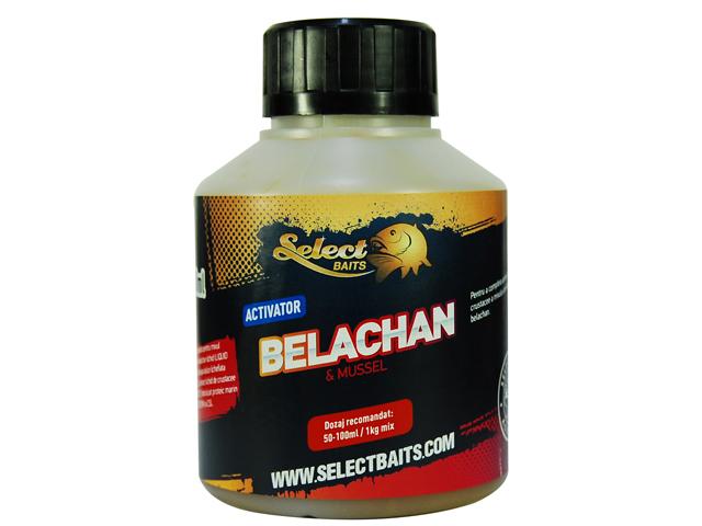 BELACHAN Activator