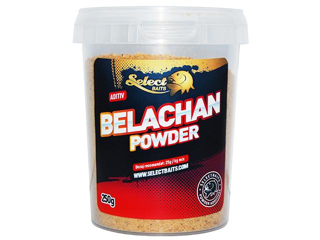 Belachan Powder