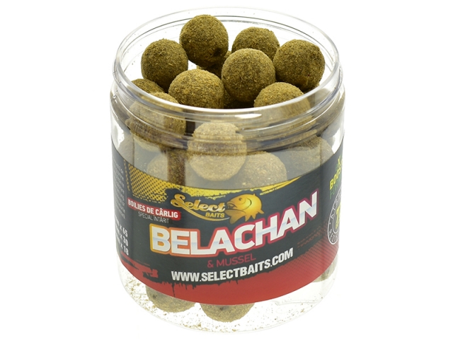 Belachan hardened