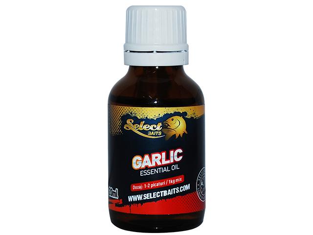 Garlic Essential Oil