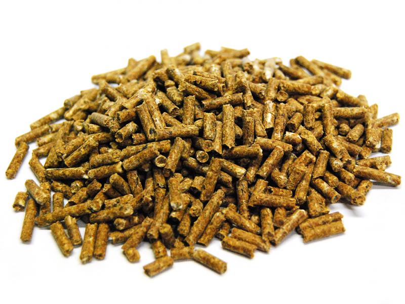 Mini CSL Pellets