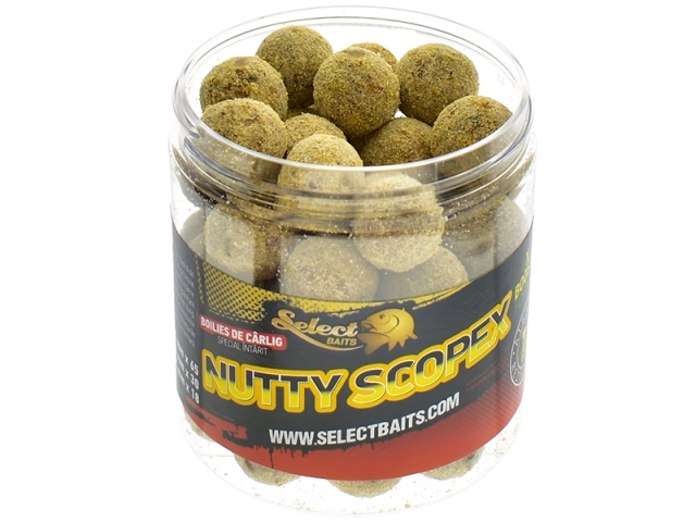 Nutty Scopex hardened